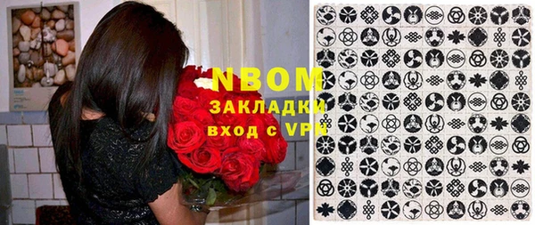 стаф Арсеньев