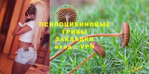 шишки Алексин