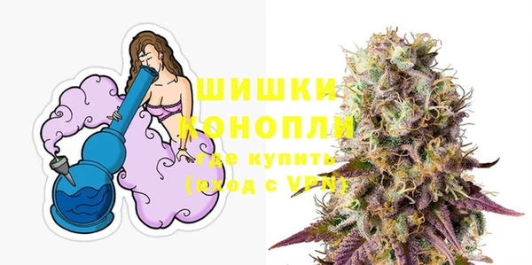 шишки Алексин