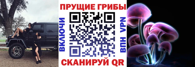 Псилоцибиновые грибы GOLDEN TEACHER  даркнет сайт  Усть-Илимск 